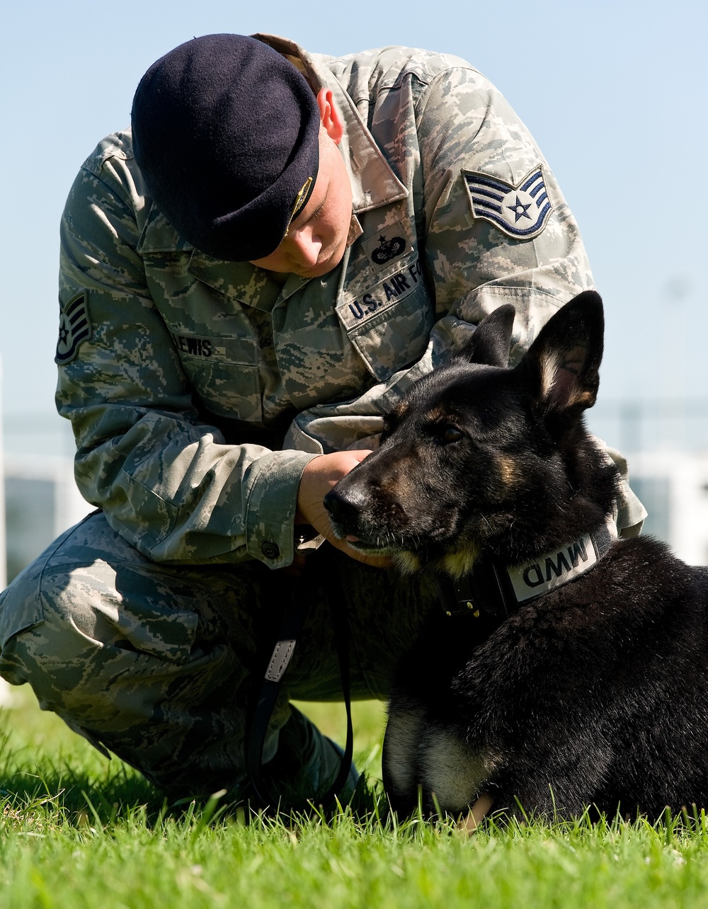 Military working dogs sink their teeth into local media