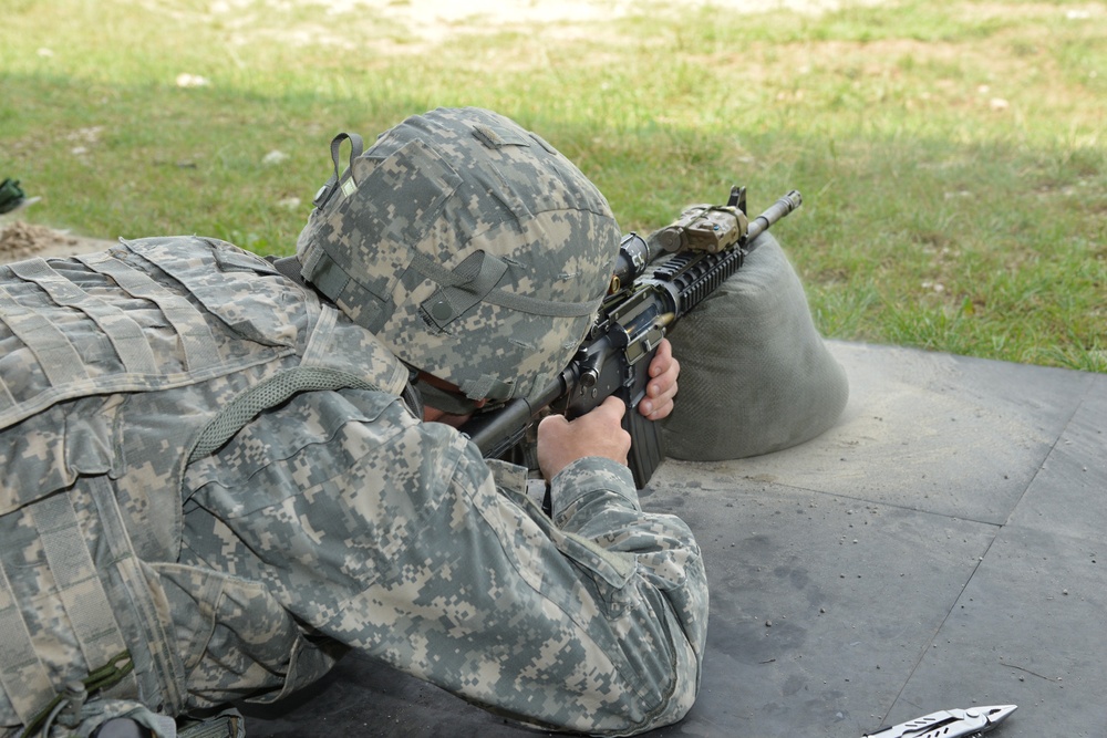 The marksmanship training at CAO Malnisio Range, Pordenone, Italy, July 24, 2013