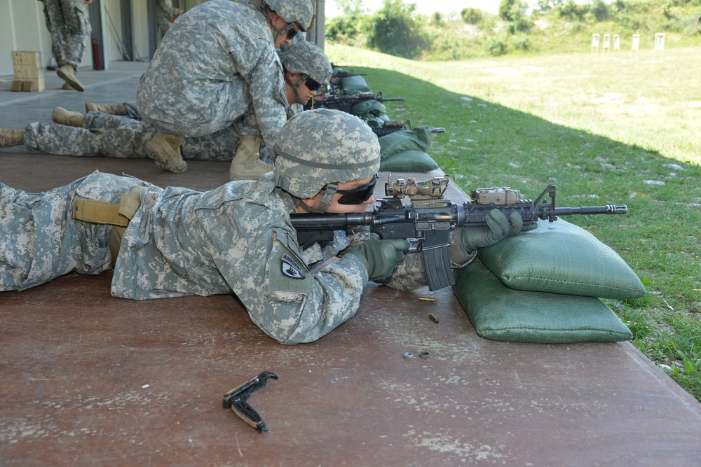 The marksmanship training at CAO Malnisio Range, Pordenone, Italy, July 25, 2013