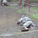 OSW soldier low crawls through mud with weapon