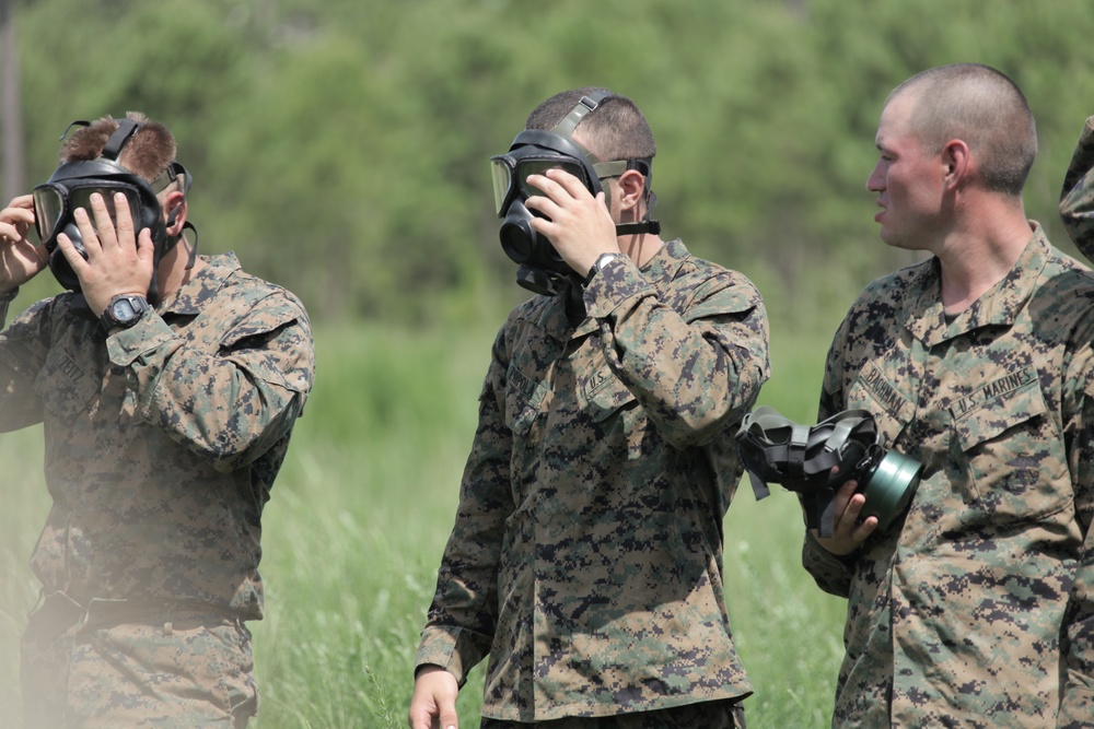 Annual training