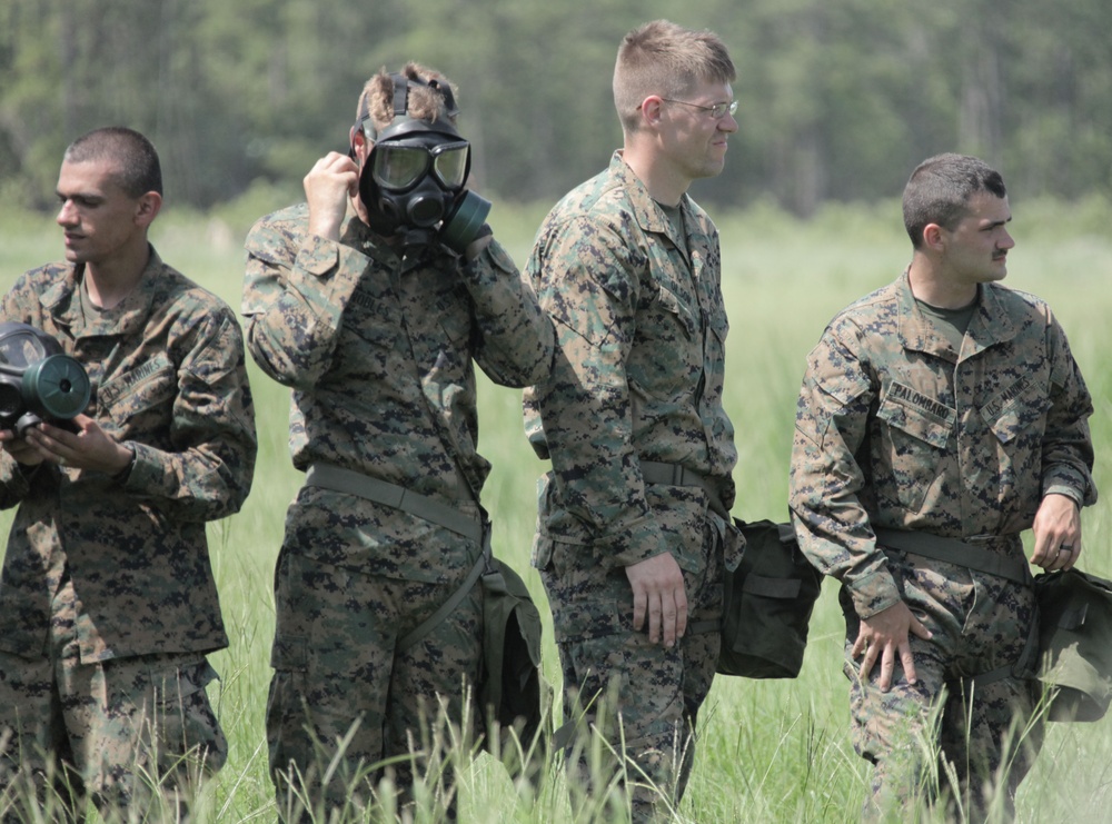 Annual training