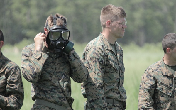 Annual training