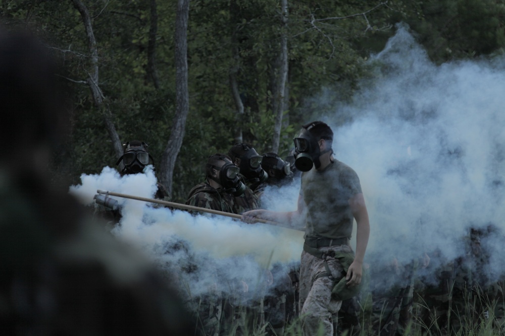 Annual training
