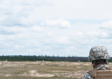 Exercise Northern Strike 2013