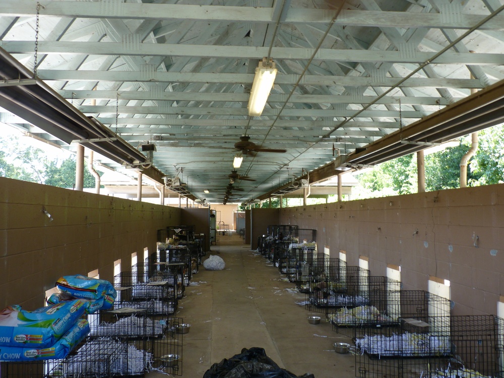 SC Military Department helps rescue efforts of over 150 puppies at suspected puppy mill