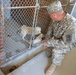 SC Military Department helps rescue efforts of over 150 puppies at suspected puppy mill