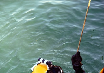 Reserve Undersea Rescue Command diving and decompression qualifications