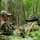 Among the guerrillas: NC Green Berets give local cadets a tactical advantage