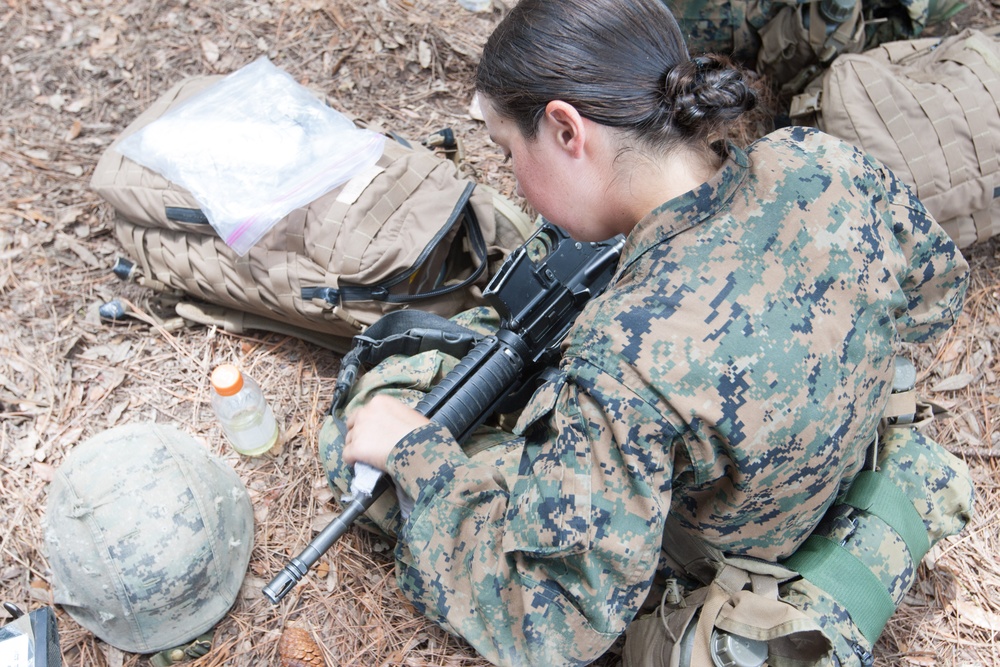 Photo Gallery: Marine recruits complete Crucible, earn Marine title