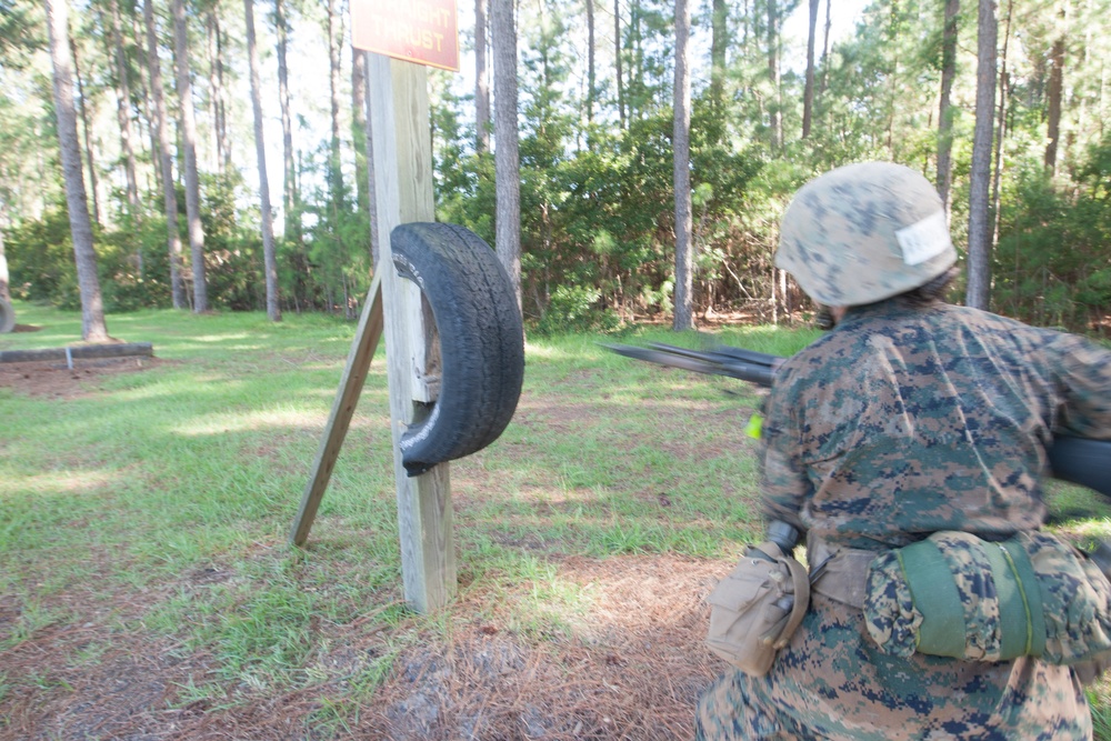 Photo Gallery: Marine recruits complete Crucible, earn Marine title