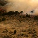 Utah Army National Guard fight northern Utah fires.