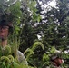 Engineer soldiers train cover and concealment