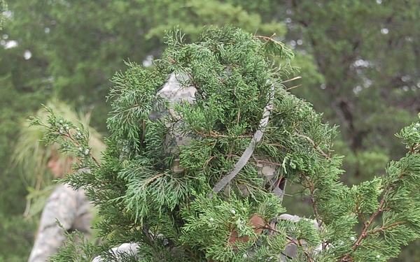 A soldier in US Army digital camouflage (ACU pattern) has attached natural vegetation branches, likely juniper or cedar, to their body and gear as field-expedient camouflage. A second soldier in matching ACU uniform is visible in the background walking along a dirt path. The setting appears to be a wooded training area with green grass and trees.