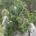 Engineer soldier experiments with camo techniques