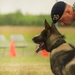 2013 North Dakota Peace Officer Association K-9 Police Trials