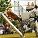 2013 North Dakota Peace Officer Association K-9 Police Trials