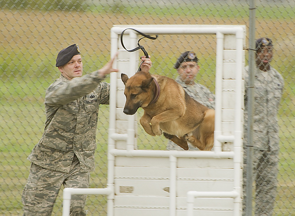 2013 North Dakota Peace Officer Association K-9 Police Trials