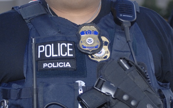 HSI arrests 263 gang members