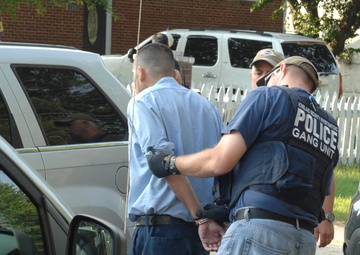 HSI arrests 263 gang members