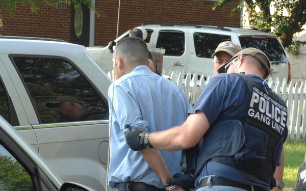 HSI arrests 263 gang members