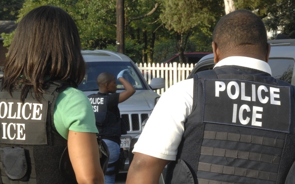 HSI arrests 263 gang members