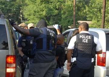 HSI arrests 263 gang members