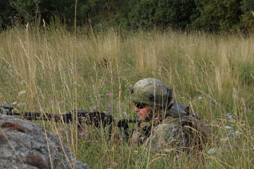 Regimental Combat Team Mission Rehearsal Exercise