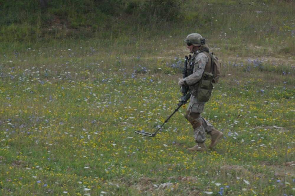 Regimental Combat Team Mission Rehearsal Exercise