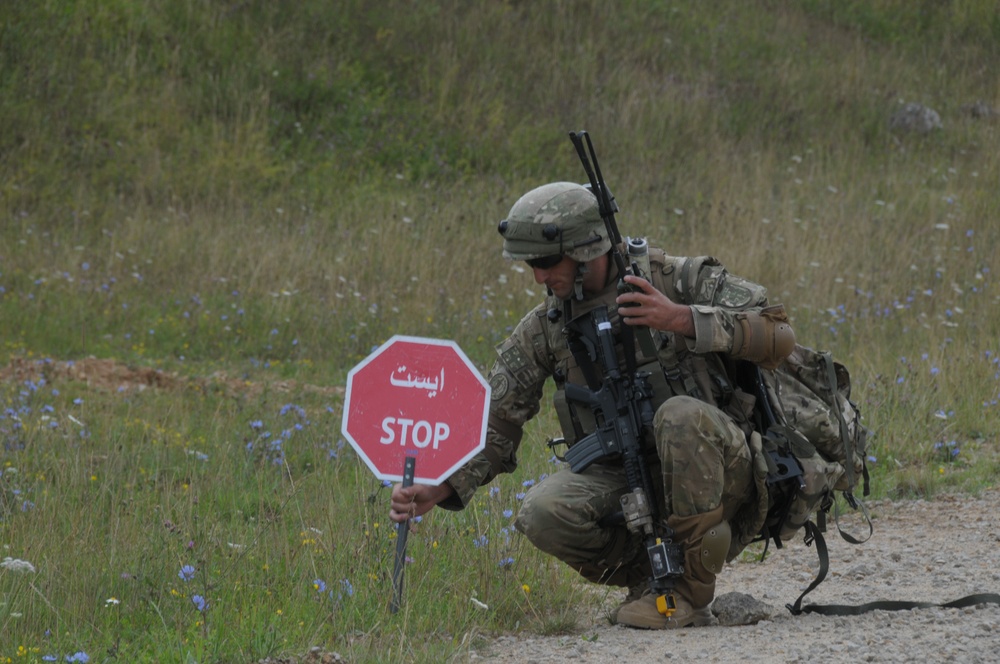 Regimental Combat Team Mission Rehearsal Exercise