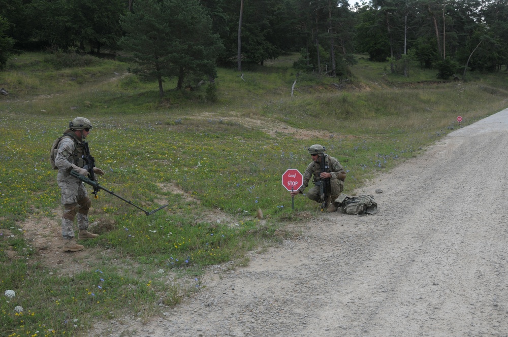 Regimental Combat Team Mission Rehearsal Exercise