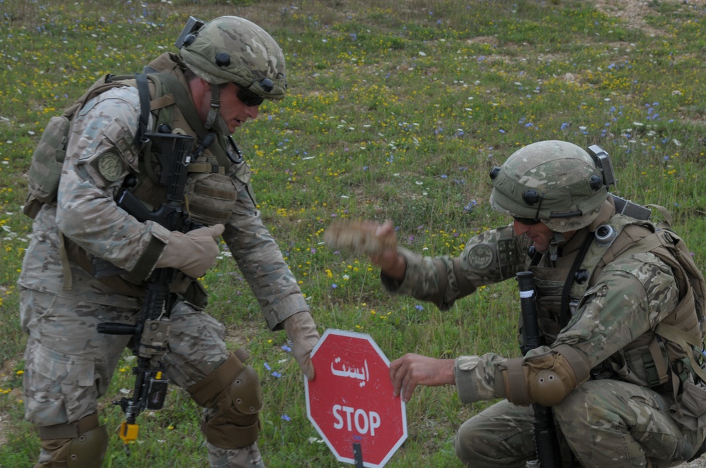 Regimental Combat Team Mission Rehearsal Exercise