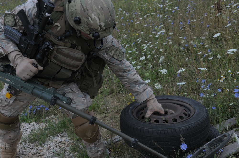 Regimental Combat Team Mission Rehearsal Exercise