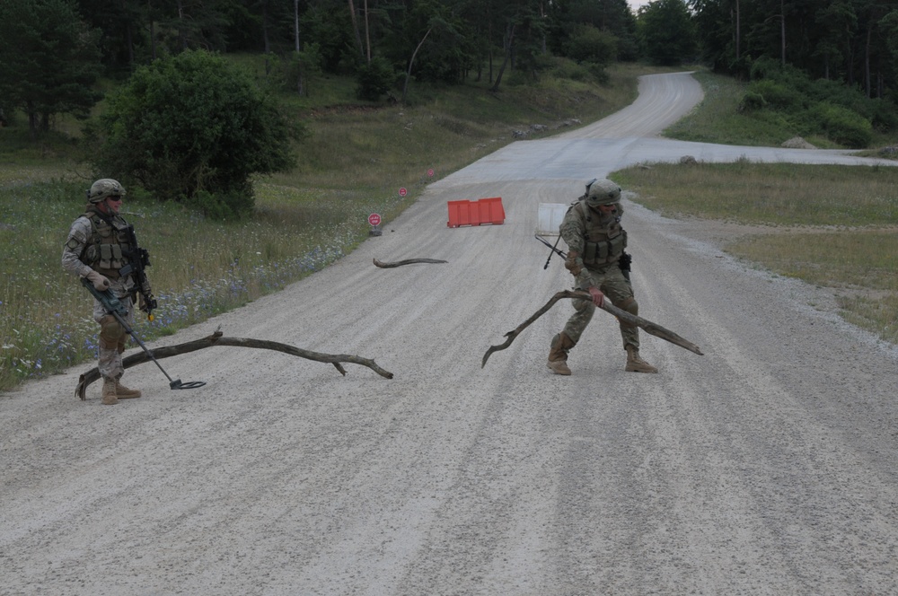 Regimental Combat Team Mission Rehearsal Exercise