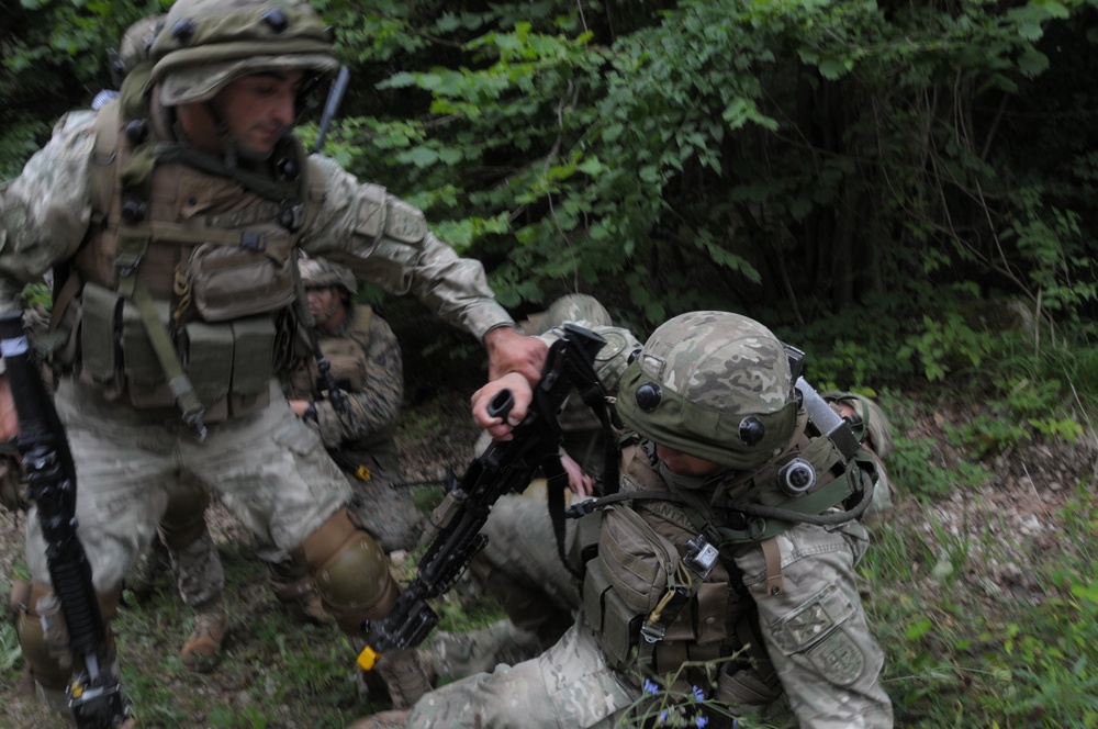 Regimental Combat Team Mission Rehearsal Exercise