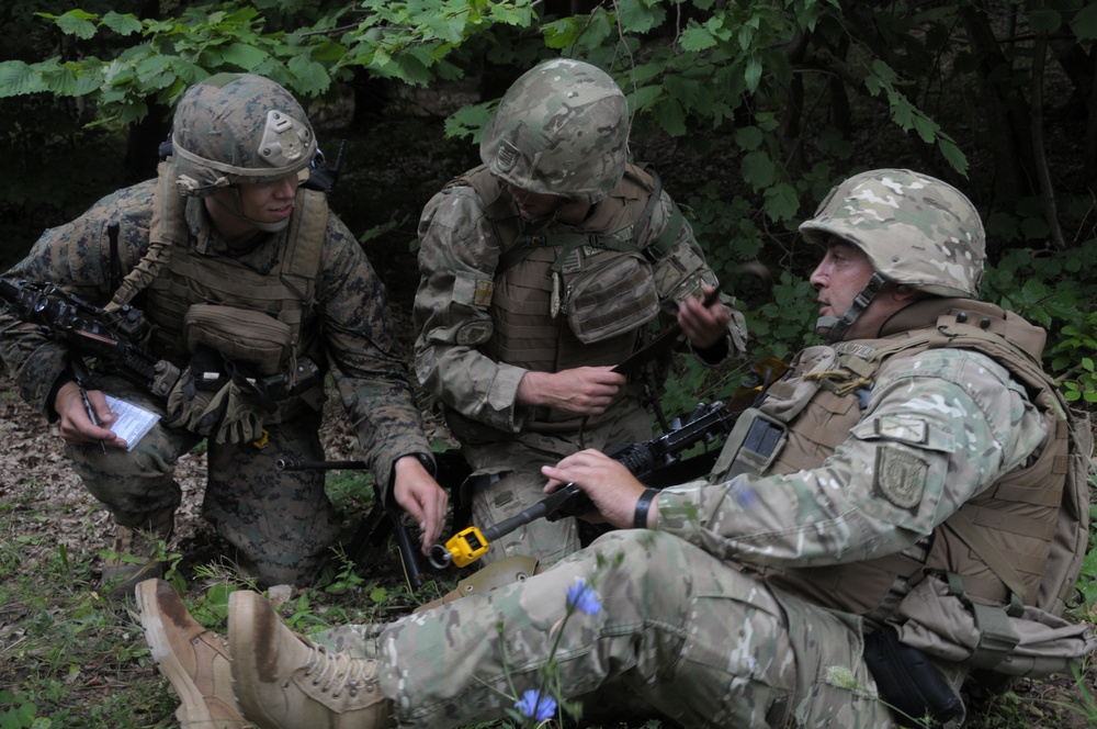 Regimental Combat Team Mission Rehearsal Exercise