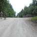 Regimental Combat Team Mission Rehearsal Exercise