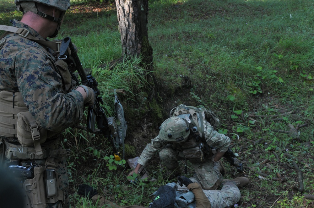 Regimental Combat Team Mission Rehearsal Exercise