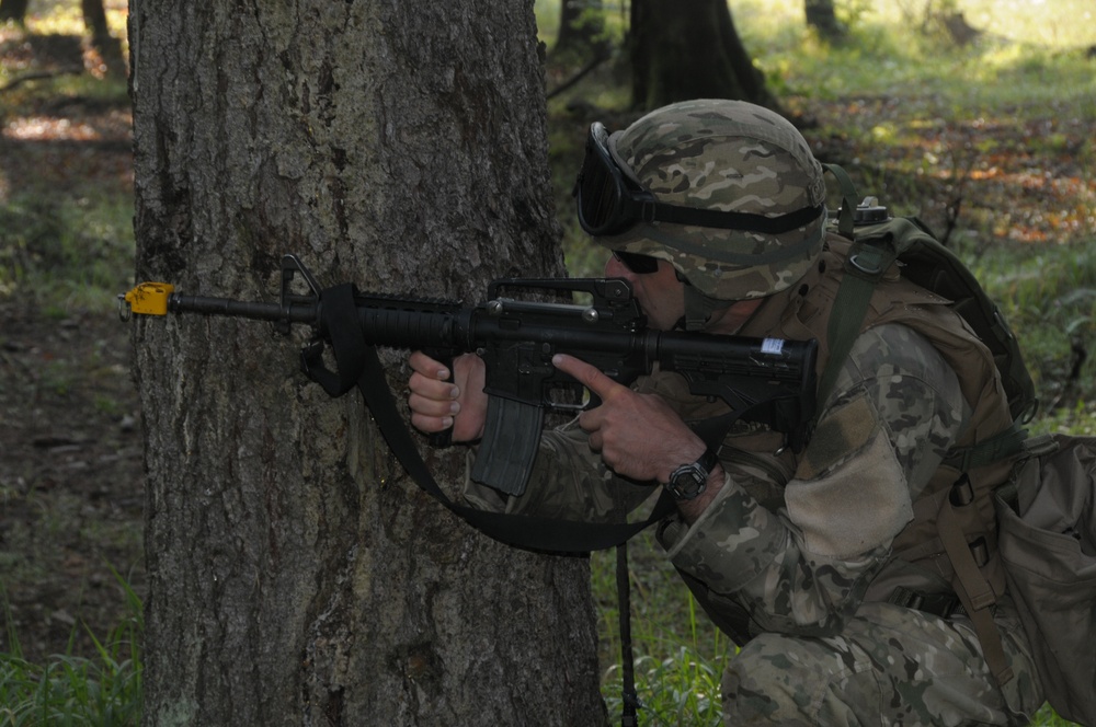 Regimental Combat Team Mission Rehearsal Exercise