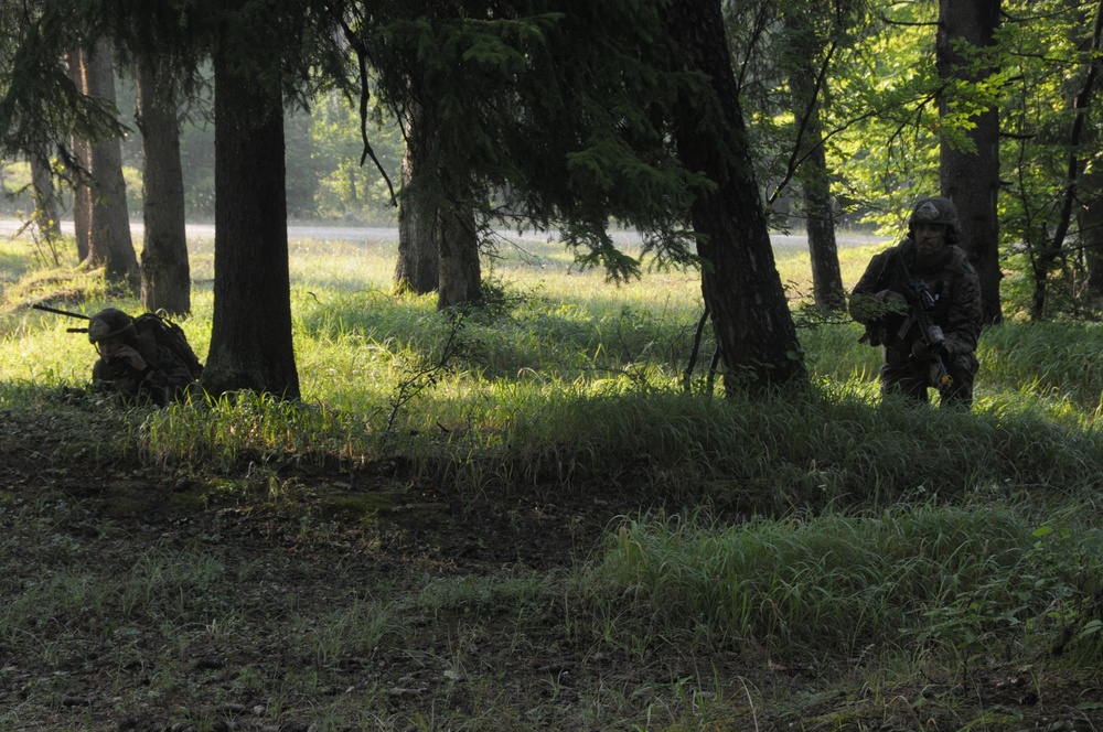 Regimental Combat Team Mission Rehearsal Exercise