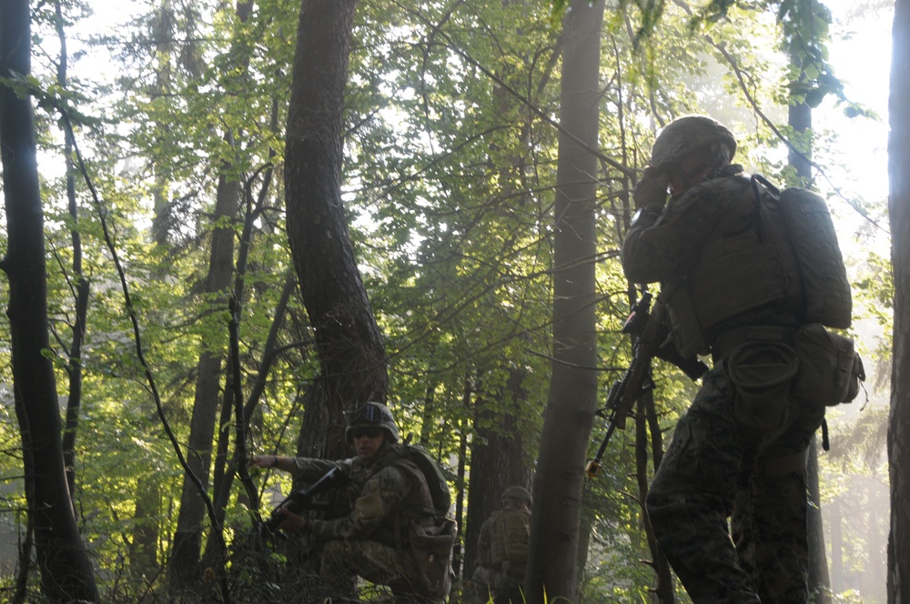 Regimental Combat Team Mission Rehearsal Exercise