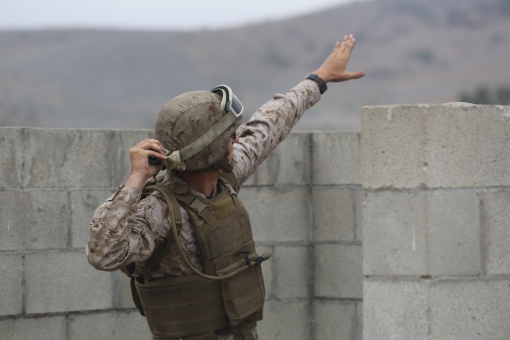 Assault Amphibian Battalion refines grenade handling skills