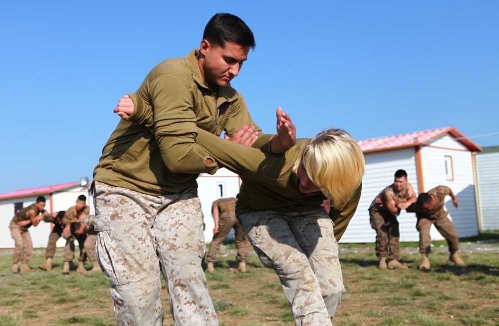 Marines train with Mongolian troops, police on control holds and non-lethal tactics