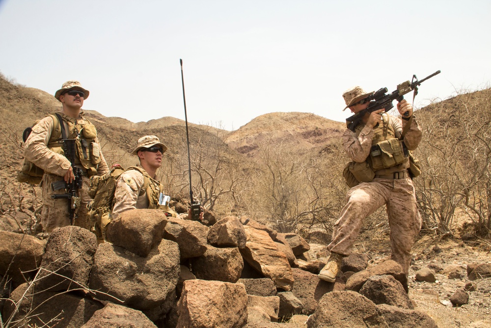 LIMA COMPANY PATROLLING EXERCISE