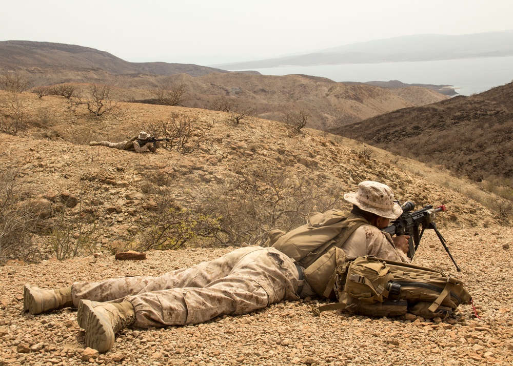 LIMA COMPANY PATROLLING EXERCISE