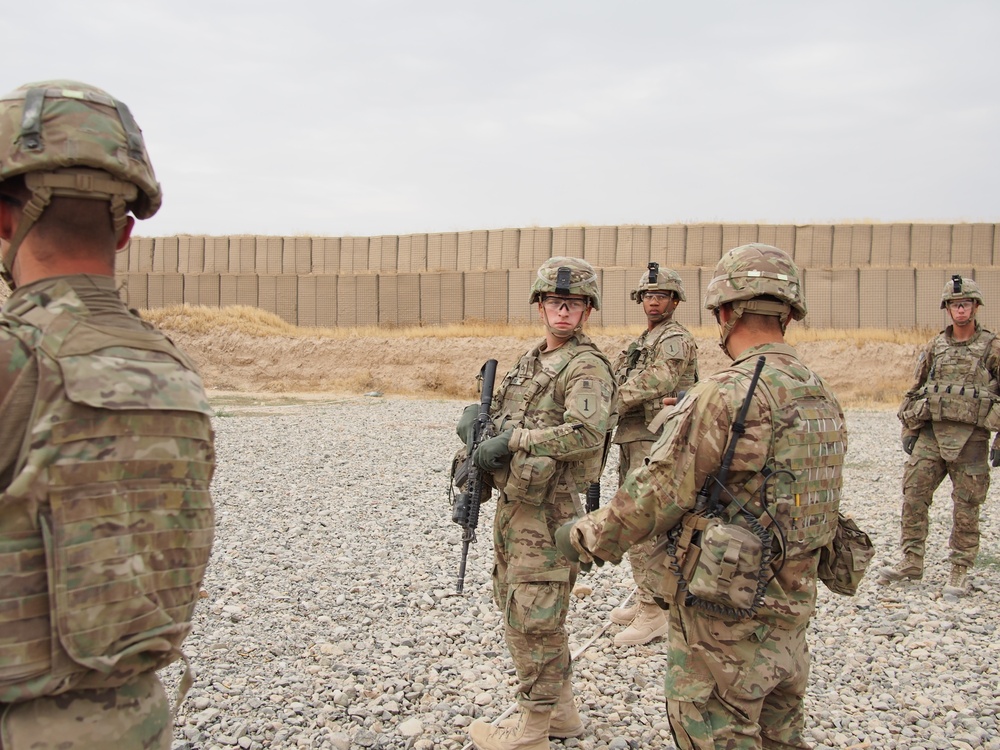 DVIDS - Images - Sgt. 1st Class Richards and Sgt. Hyatt instruct ...