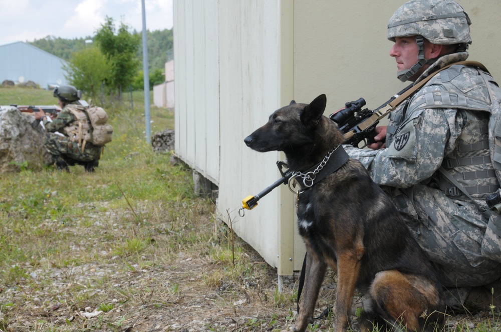 Regimental combat team mission rehearsal exercise