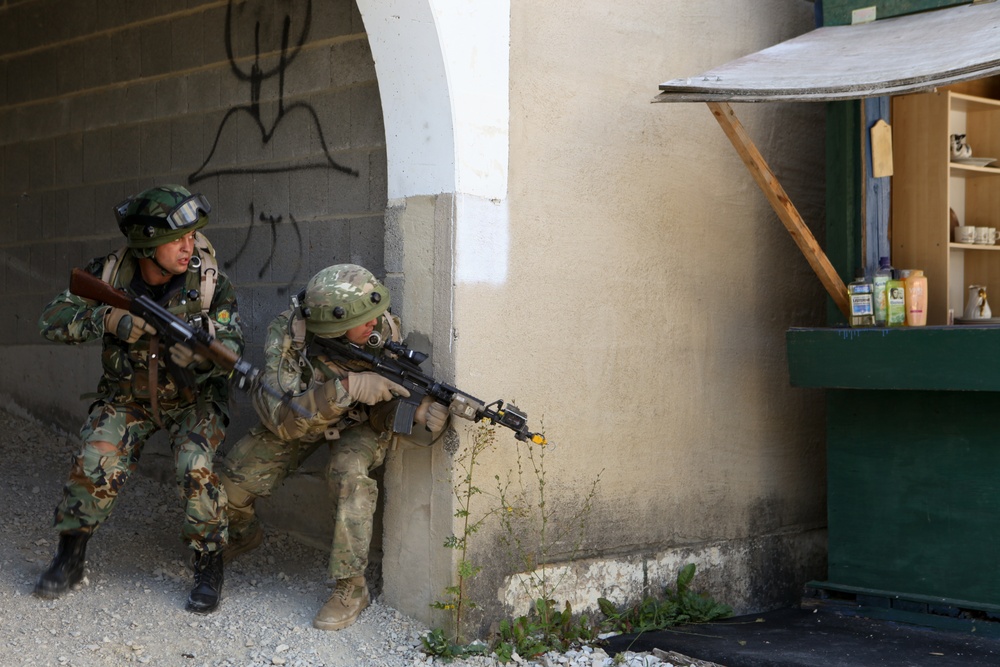 Regimental combat team mission rehearsal exercise