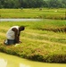 Fun farming fishing, the future