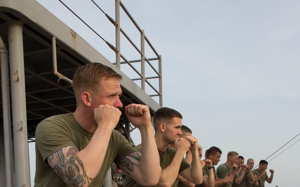 Marine Corps Martial Arts Program